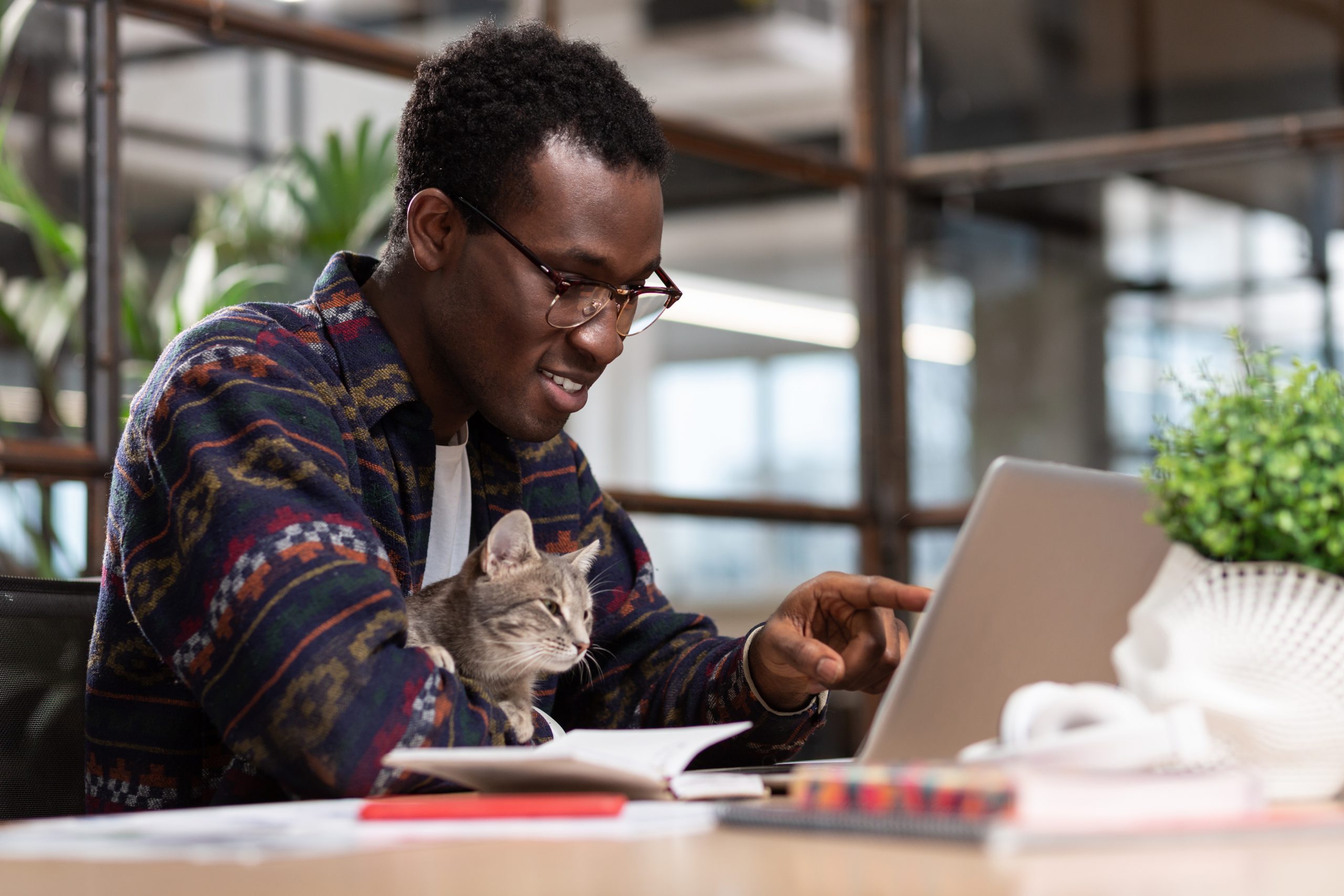 Small business owner working together with a grey cat to make sure this quarter's numbers make sense.